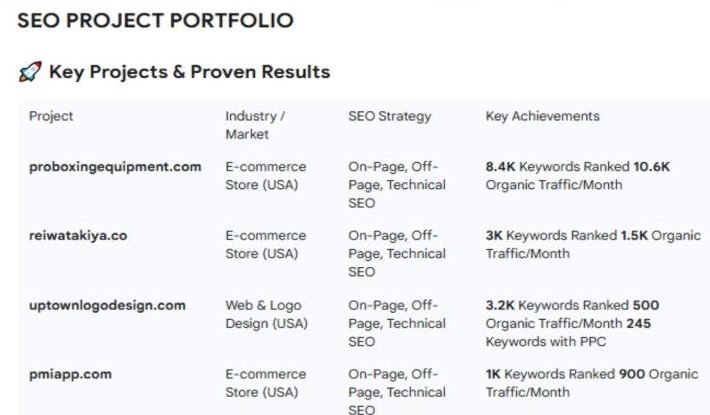 SEO project portfolio table listing keyword and traffic results across four ecommerce clients