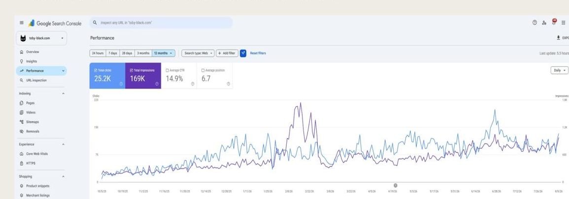Google Search Console performance dashboard showing 25.2K clicks and 169K impressions over 12 months